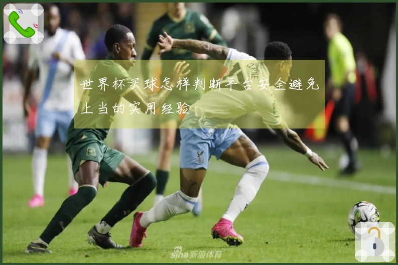 世界杯买球怎样判断平台安全避免上当的实用经验